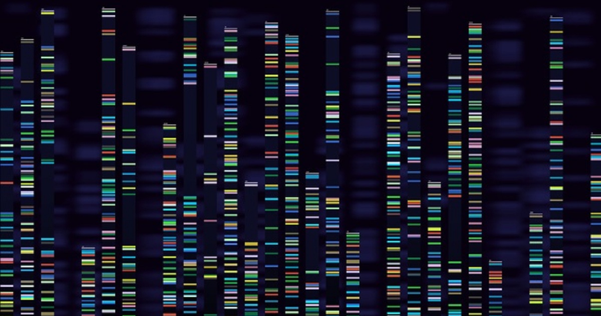 New Precision Medicine Program to Study Role of Genomics in Disease